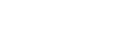 Nuit d'été